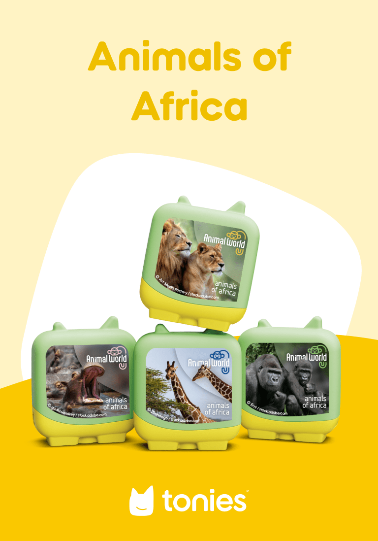 Animal World Animals of Africa Clever Tonies - 4 Pack - Image 2