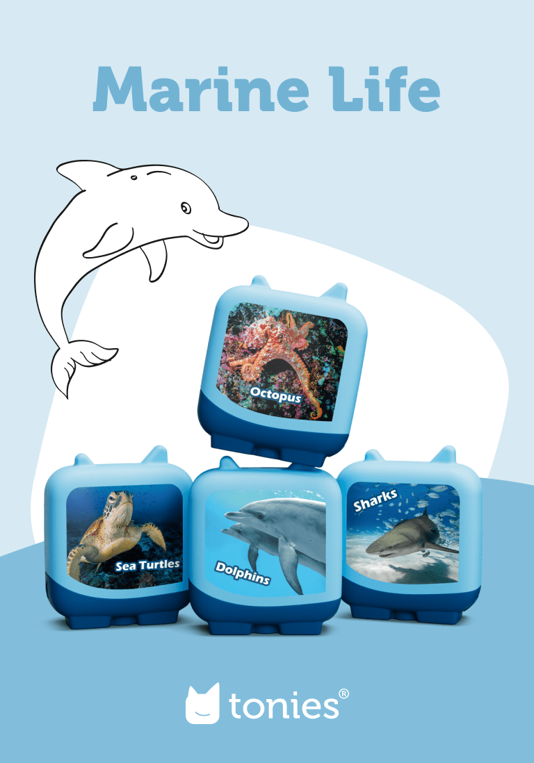 Marine Life Clever Tonies - 4 Pack - Image 2