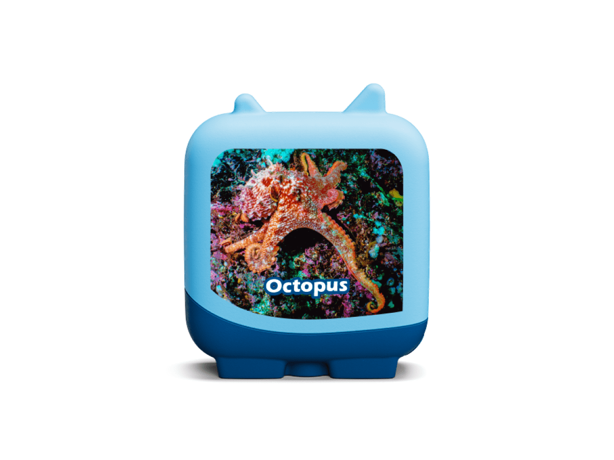 Marine Life Clever Tonies - 4 Pack - Image 6