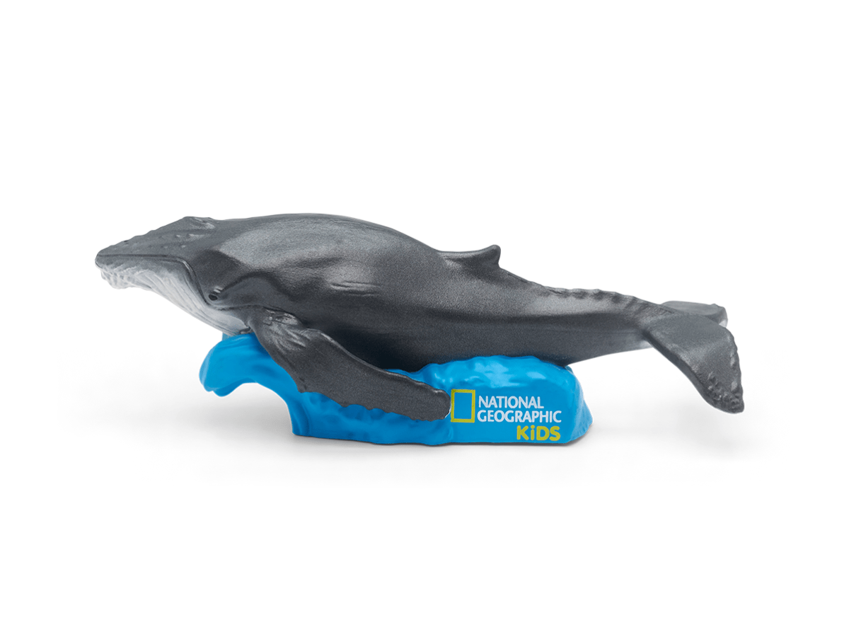 National Geographic Kids: Whale Tonie - Image 3
