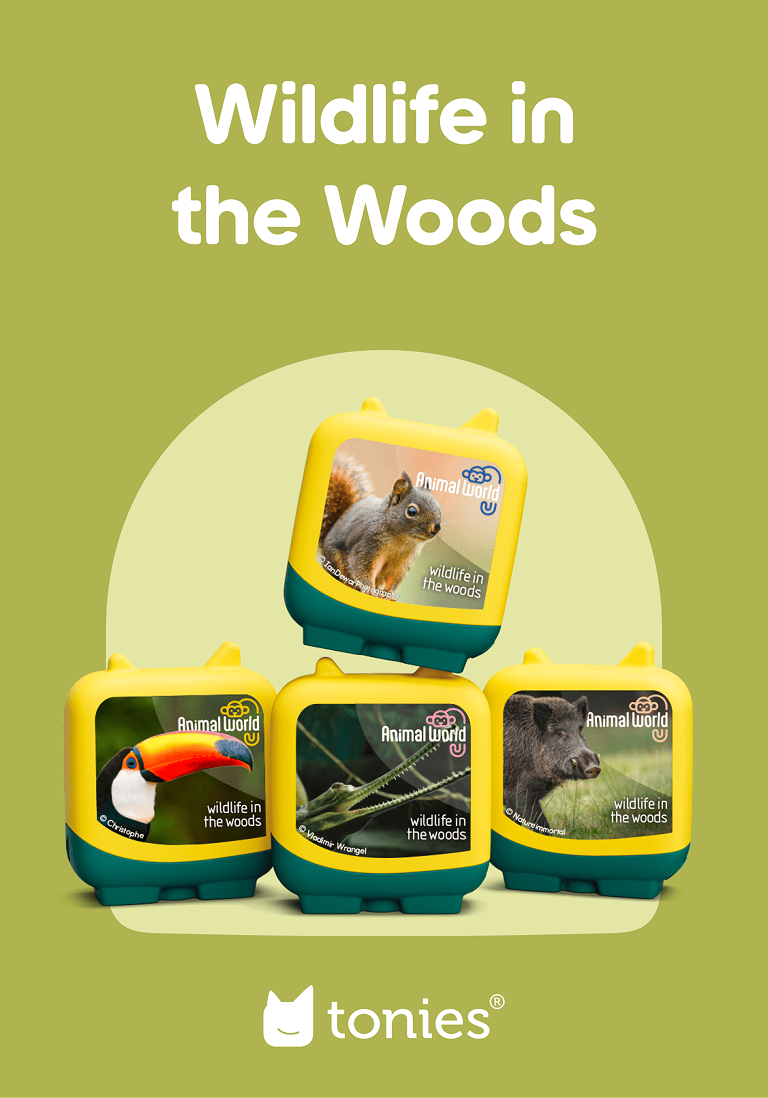Animal World Wildlife in the Woods Clever Tonies - 4 Pack - Image 2